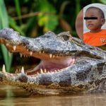 Encuentran a niño desaparecido en mandíbula de un cocodrilo